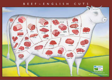 Beef cuts diagram 