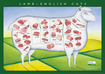 Lamb cuts diagram 